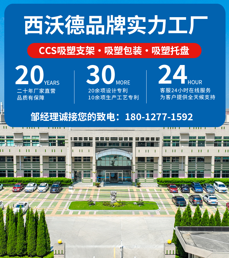 1737033616973163.jpg g1.jpg